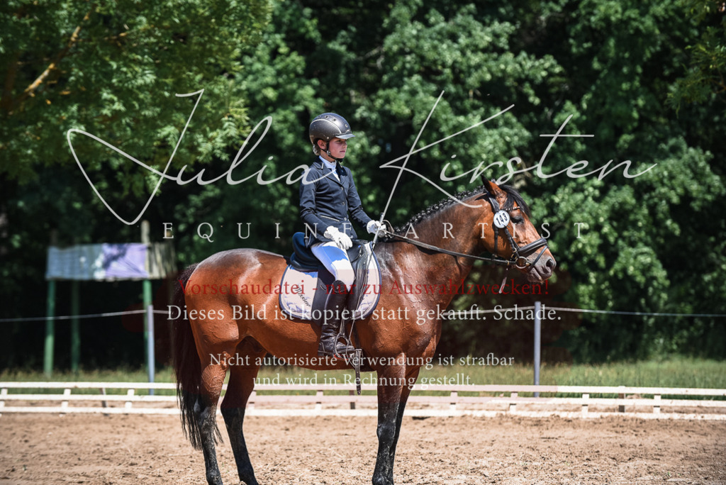 DSC_2891 | Pferde- und Turnierfotografie in Westsachsen. Pferdeportraits, Auftragszeichnungen und intuitive Kunst.