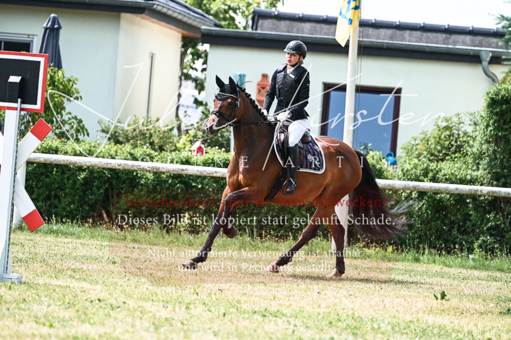 DSC_9469 | Pferde- und Turnierfotografie in Westsachsen. Pferdeportraits, Auftragszeichnungen und intuitive Kunst.