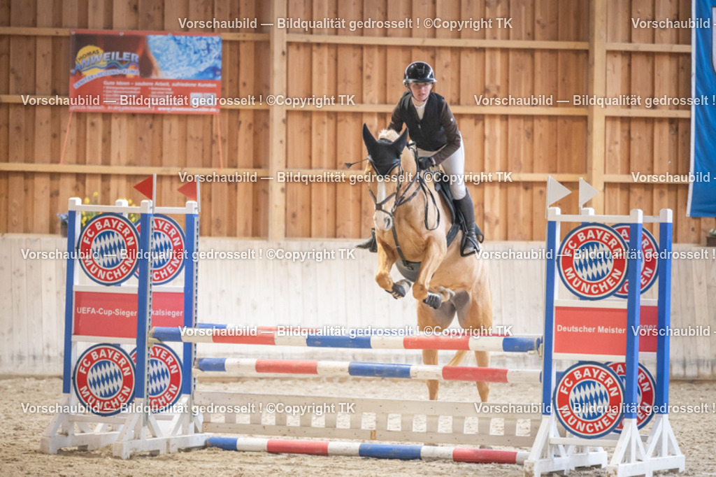 _D5A7821 | Emotionale Pferde- & People-Fotografie rund um Heidelberg, Leimen & Umgebung. Natürliche Fotos von Pferd, Mensch & Familie. Jetzt Termin sichern!