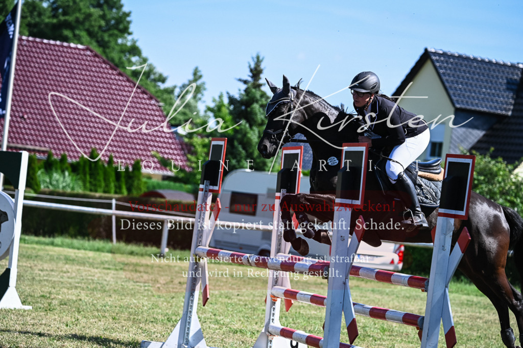 DSC_1636 | Pferde- und Turnierfotografie in Westsachsen. Pferdeportraits, Auftragszeichnungen und intuitive Kunst.