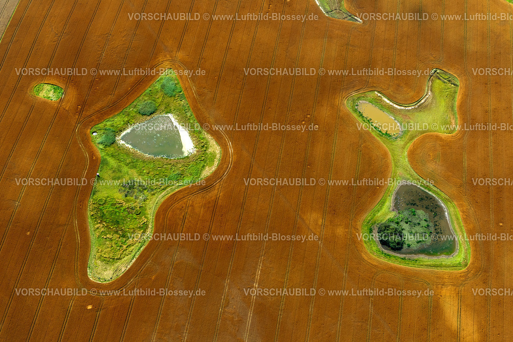 GrossSchwansee12084525 | abgeerntetes Feld mit Teichen und Wieseninseln, graphische Elemente,  Damshagen, Mecklenburg-Vorpommern, Deutschland, Europa