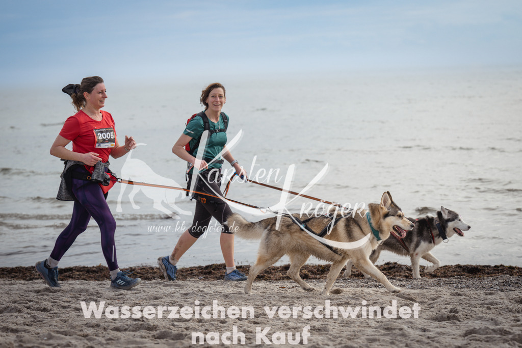 1156_ZZ92820 | kk-dogfotos