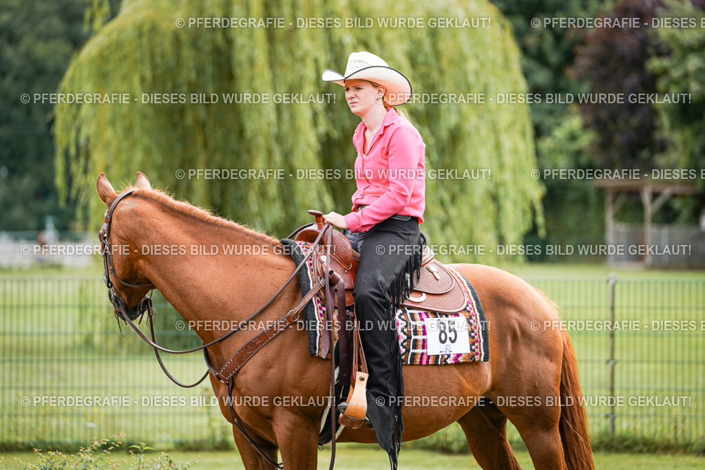 DSC08398 | Pferdegrafie