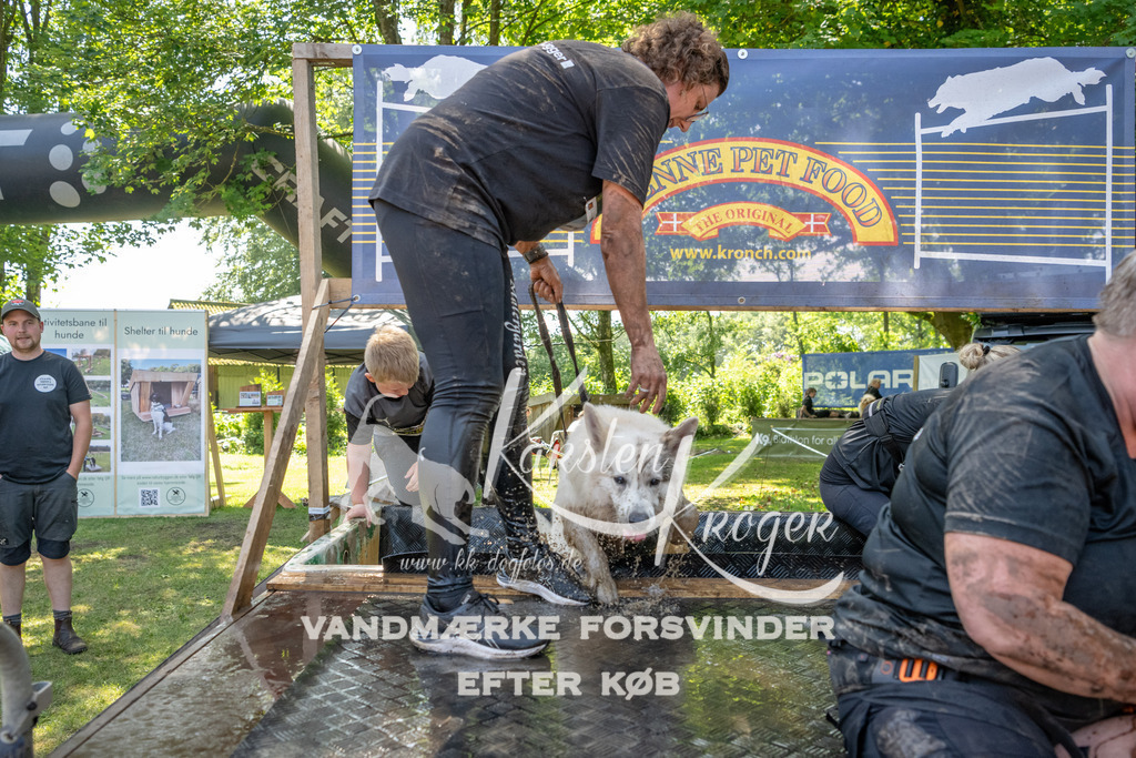 1426_ZZ94175 | kk-dogfotos