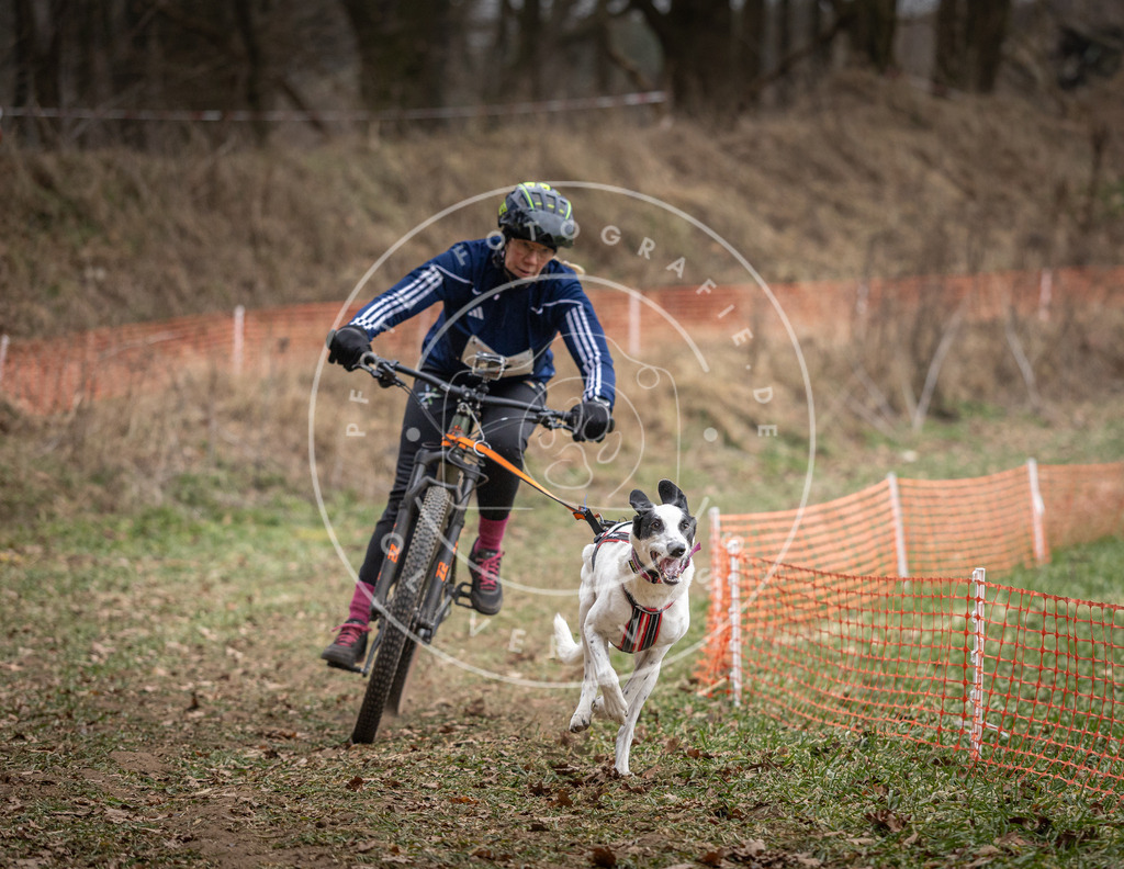 Pfotenfotografie_DV3A5160 | Hundefotografie, Tierfotograf, Pfotenfotografie, Fotoshooting Hund, Hunde Portrait, Hundesport, Hundeportraits, Heideshooting, Hunde, Sportfotograf, Hundefotograf, Turnierhundsport, THS,  - Realisiert mit Pictrs.com