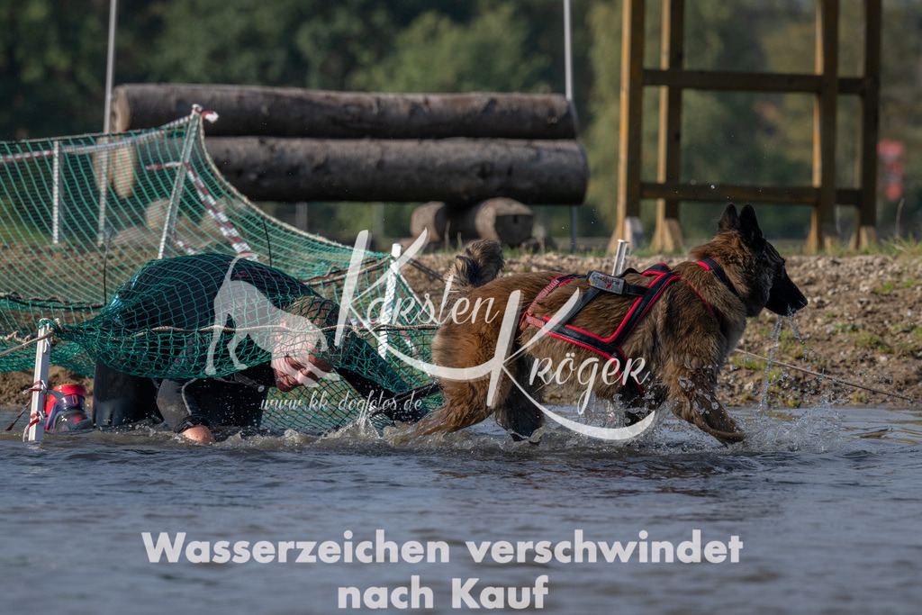 1043_ZZ94875 | kk-dogfotos