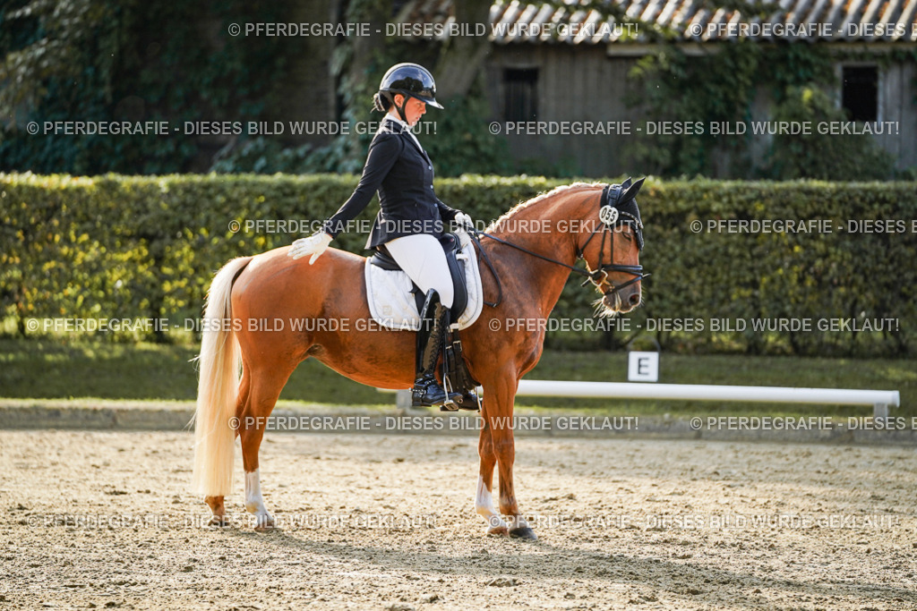 DSC05206 | Pferdegrafie