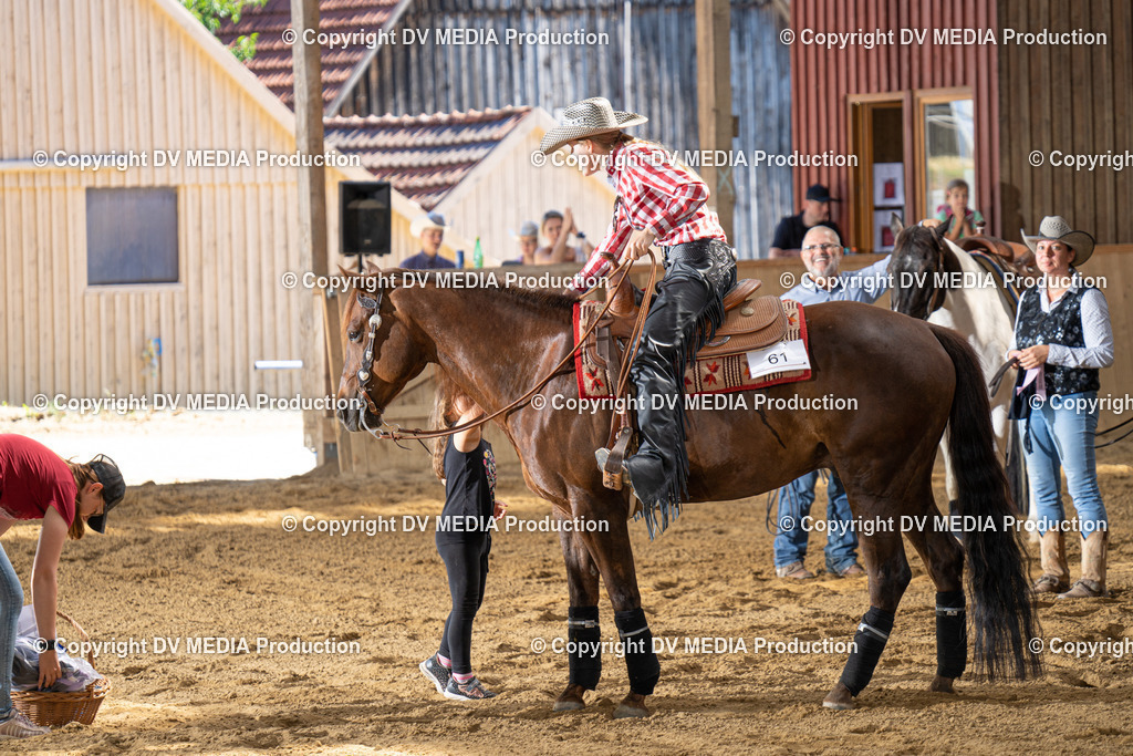 DSC00178 | dv-media-shop - Realisiert mit Pictrs.com