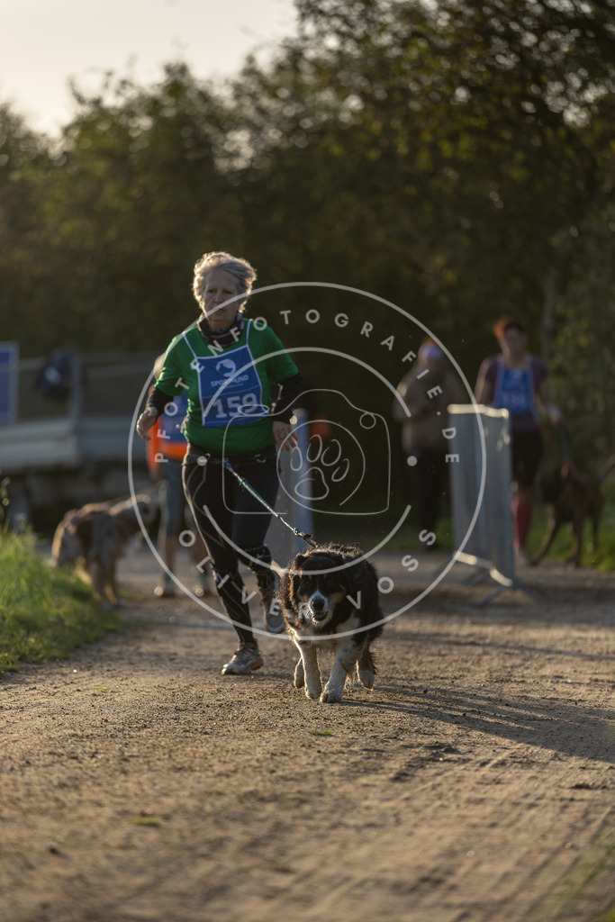 Pfotenfotografie.de_DV3A2572 | Hundefotografie, Tierfotograf, Pfotenfotografie, Fotoshooting Hund, Hunde Portrait, Hundesport, Hundeportraits, Heideshooting, Hunde, Sportfotograf, Hundefotograf, Turnierhundsport, THS, canicross - Realisiert mit Pictrs.com