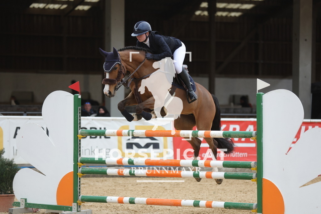 0P6A4319 | Willkommen bei Brunnmayr - Design & Fotografie – Ihrem Spezialisten für Reitturniere und Pferdeveranstaltungen in Oberösterreich, Salzburg und Bayern! Seit über 17 Jahren sind wir leidenschaftlich dabei.