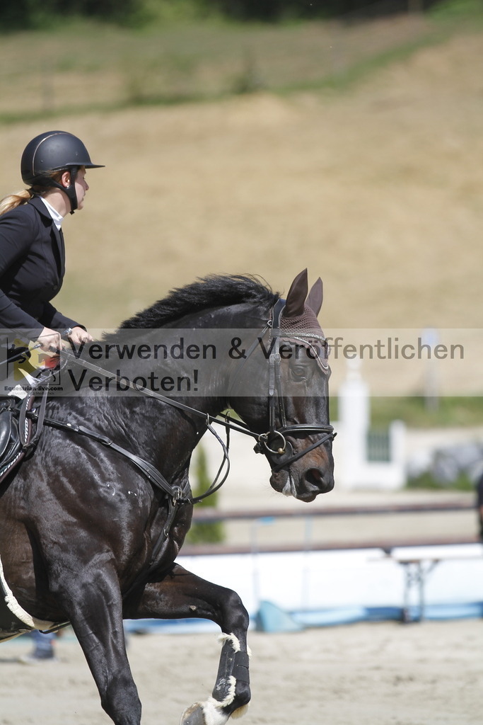 _MG_5524 | equestrian-live-com