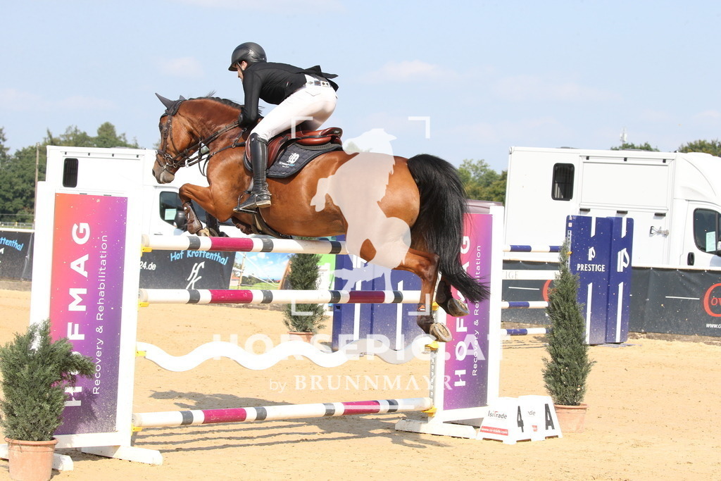 DL2Q8590 | Willkommen bei Brunnmayr - Design & Fotografie – Ihrem Spezialisten für Reitturniere und Pferdeveranstaltungen in Oberösterreich, Salzburg und Bayern! Seit über 17 Jahren sind wir leidenschaftlich dabei.