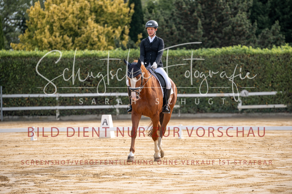 Schugtsche-Aluta25-40.DressurprfA_-14 | Schugtsche Fotografie - Realisiert mit Pictrs.com
