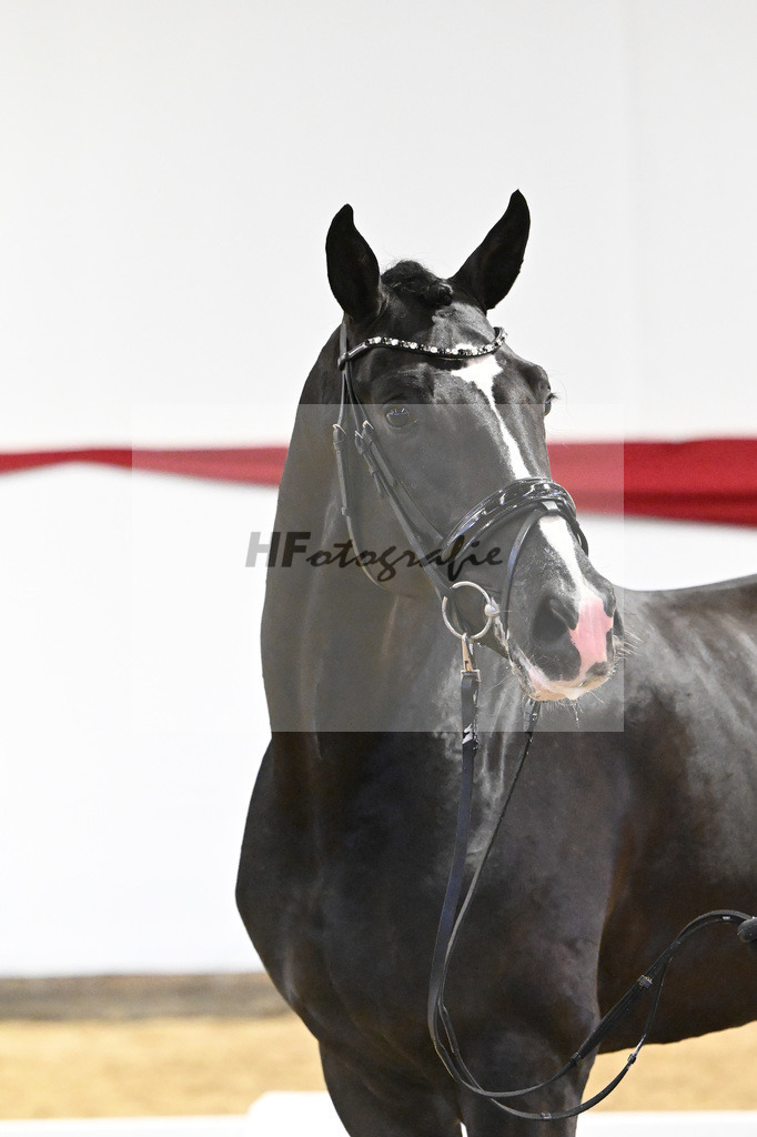 Kat-Nr. 17 v. Sezuan_Logpoint GmbH_63220495 | hf-fotografie - Realizzato con Pictrs.com