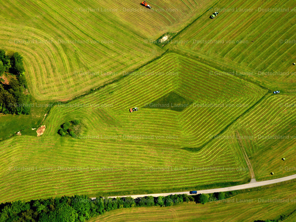 2724425 | Landwirtschafteliche Strukturen bei Grünbach