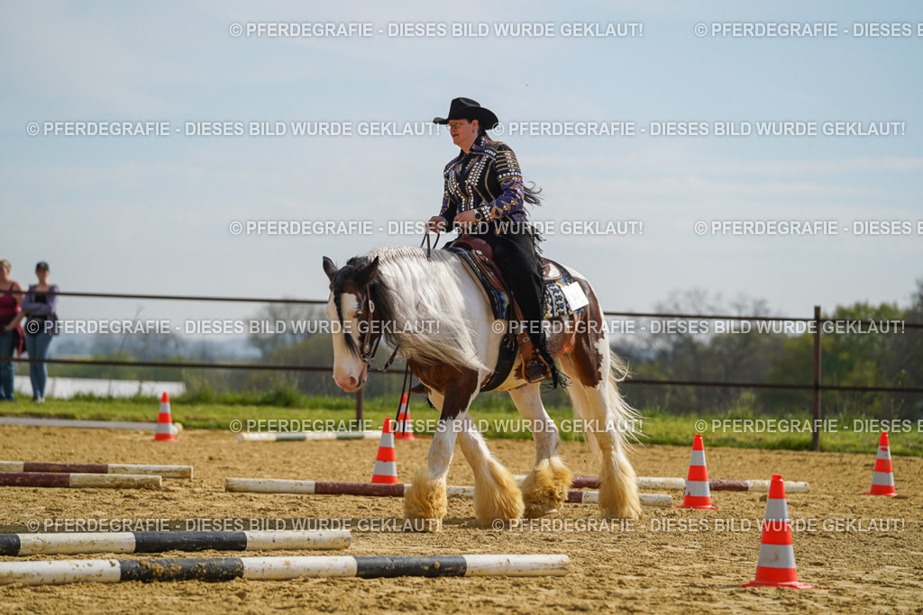 DSC01663 | Pferdegrafie