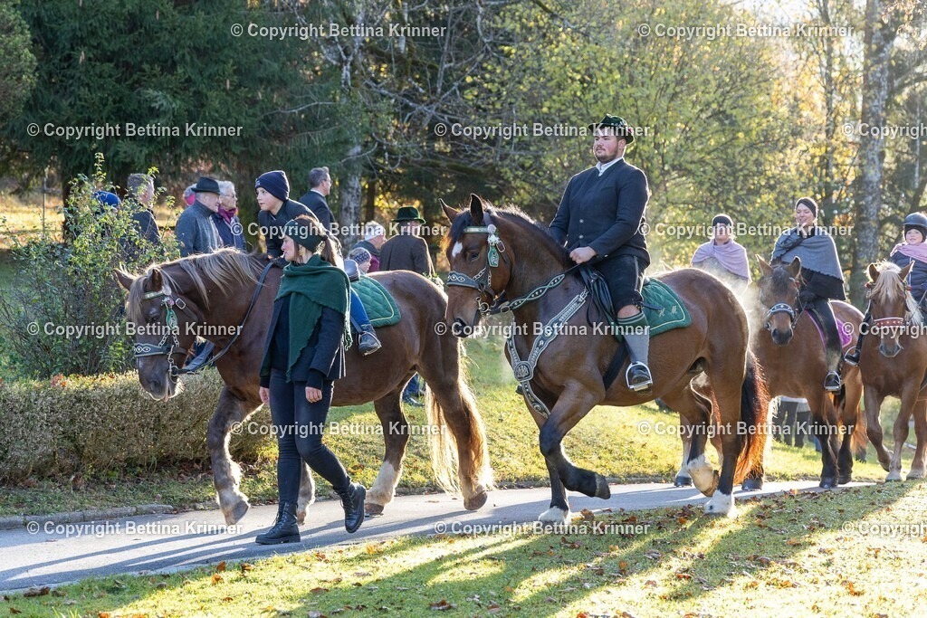 LL24-155 | foto-bettina-krinner - Realisiert mit Pictrs.com