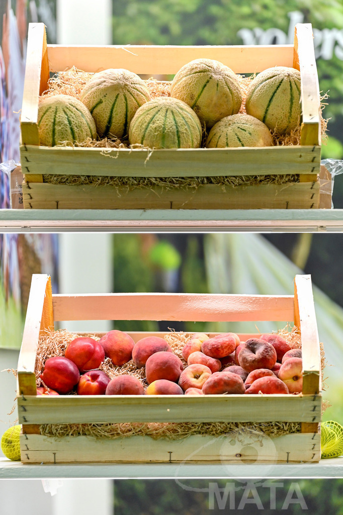 _DWI3637 | Das Herz der internationalen Bio-Branche schlug vom 26.–29.07.2022 für vier Tage in Nürnberg. Die BIOFACH, Weltleitmesse für Bio-Lebensmittel, und die VIVANESS, Internationale Fachmesse für Naturkosmetik, meldet sich mit der einmaligen „Summer Edition“ zurück. Groß war die Wiedersehensfreude der über 24.000 Fachbesucher aus 137 Ländern. Im Fokus: Der persönliche Austausch, Networking und vertiefte Gespräche zu den Themen der Zeit. Aber auch: Neuheiten und Trends entdecken und eintauchen mit allen Sinnen in die Produktvielfalt der 2.276 Aussteller aus 94 Ländern. Nürnberg, 29.07.2022 - Realisiert mit Pictrs.com