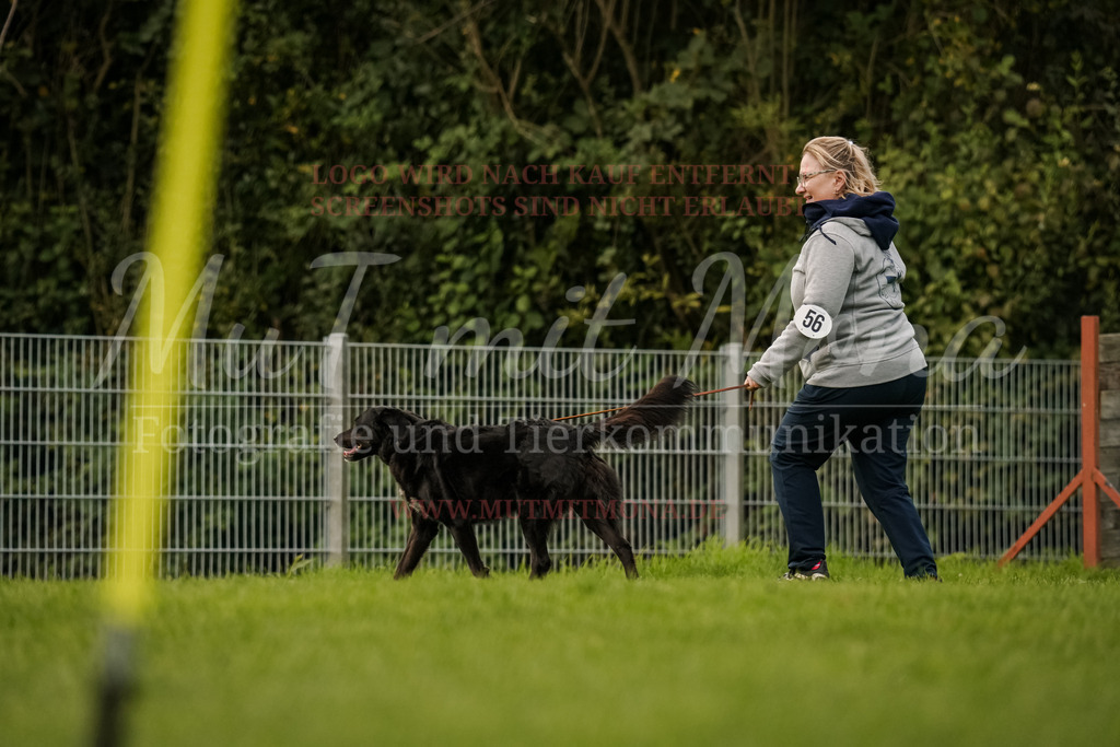 20251005_THS_Turnier-695 | MuT (Mensch und Tier) mit Mona - Fotografie und Tierkommunikation - Realisiert mit Pictrs.com