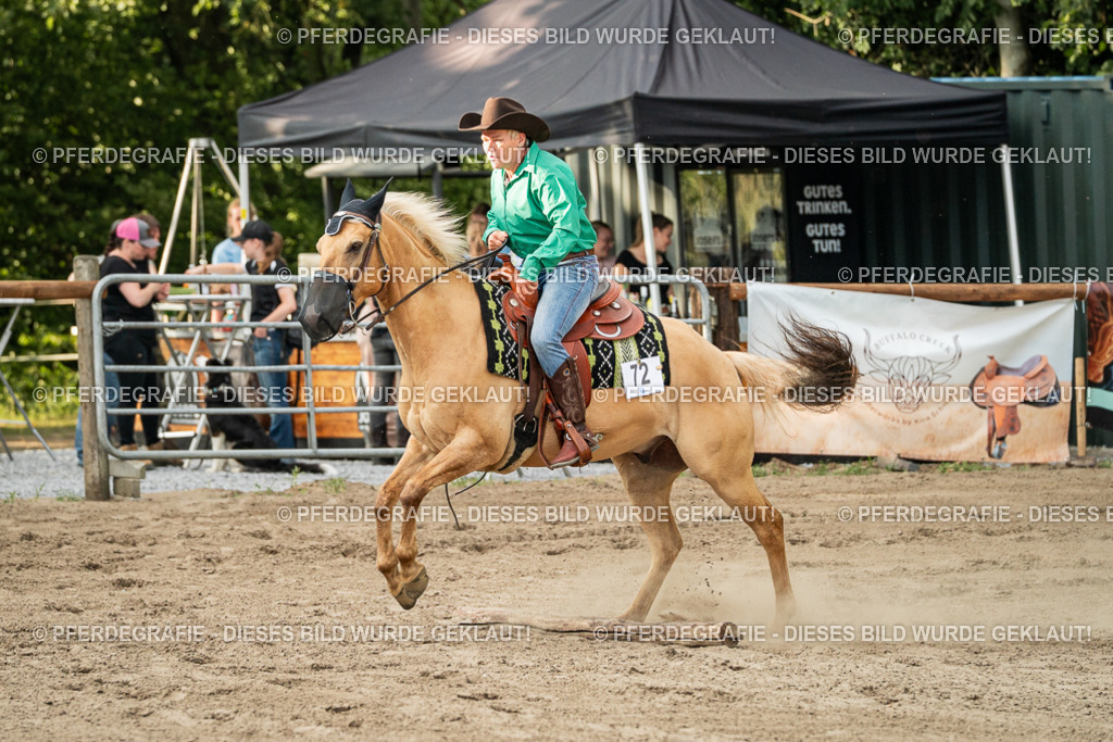 DSC06180 | Pferdegrafie