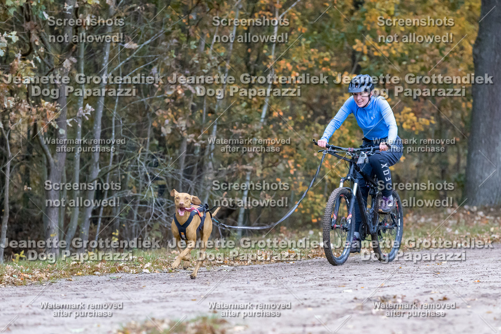 Dog Paparazzi - SD CaniX Championship 2025-75 | Dog Paparazzi Jeanette Grottendiek Fotografie & Videografie - Realisiert mit Pictrs.com