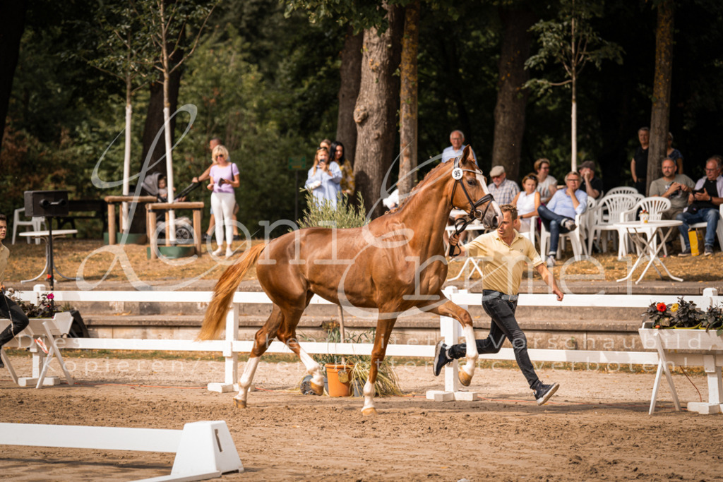 7.Fr00004 | Leoni Ertmer Photography - Realisiert mit Pictrs.com