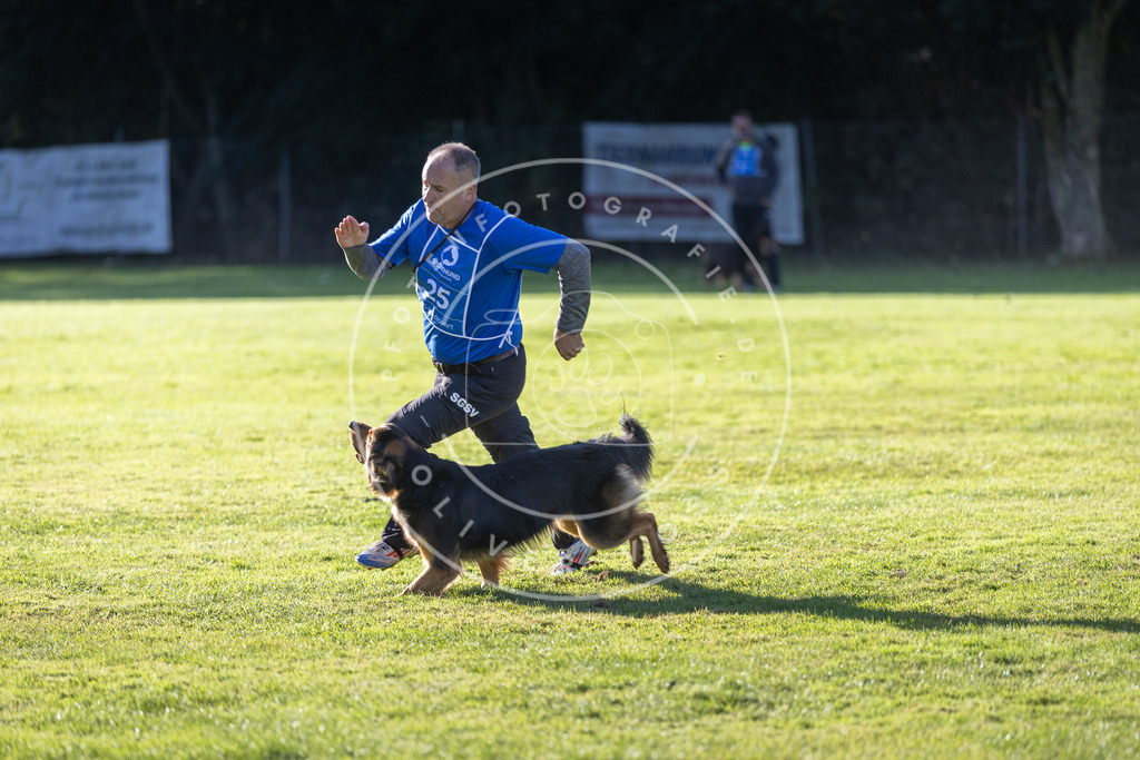Pfotenfotografie.de_DV3A3331 | Hundefotografie, Tierfotograf, Pfotenfotografie, Fotoshooting Hund, Hunde Portrait, Hundesport, Hundeportraits, Heideshooting, Hunde, Sportfotograf, Hundefotograf, Turnierhundsport, THS, canicross - Realisiert mit Pictrs.com