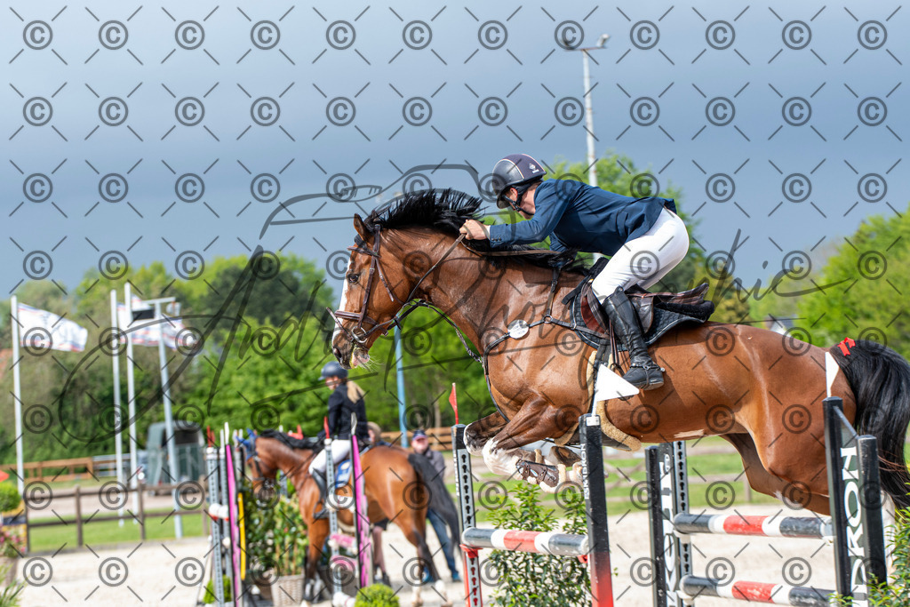 KPT_0195 | andre_photographic