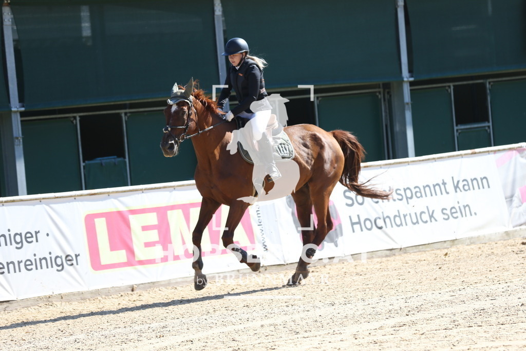 DL2Q7972 | Willkommen bei Brunnmayr - Design & Fotografie – Ihrem Spezialisten für Reitturniere und Pferdeveranstaltungen in Oberösterreich, Salzburg und Bayern! Seit über 17 Jahren sind wir leidenschaftlich dabei.