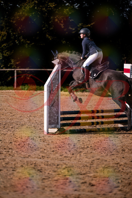 2026_10_03_Siefer-Hof_160043_Z81_81362202 | Professionelle Reitsport-, Turnier- und Eventfotografie von Robert Broda. Galerien mit ausgewählten und bearbeiteten Bildern direkt online ansehen und bestellen.