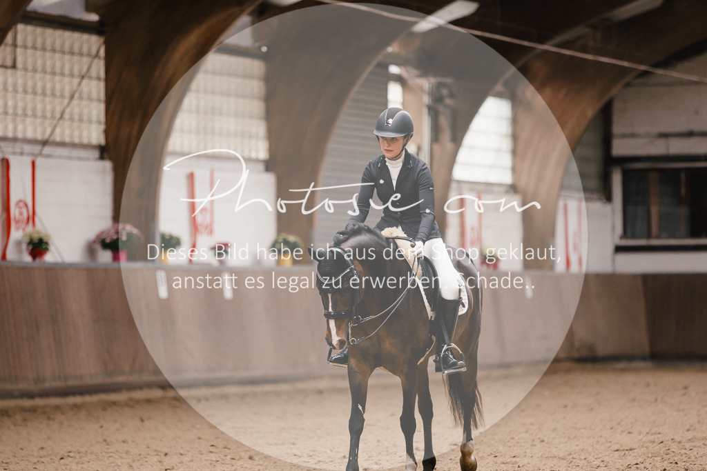 3I6A9049 | Stimmungsvolle Portraits und Reitsportfotografie im Ruhrgebiet und im Münsterland.

Pferdefotografie, Hundefotografie, Tierfotografie, Reportagen, Portraits von Tier und Mensch, Turnierfotografie in Bochum, Recklinghausen, Marl, Haltern am See, Dülmen.. - Realisiert mit Pictrs.com