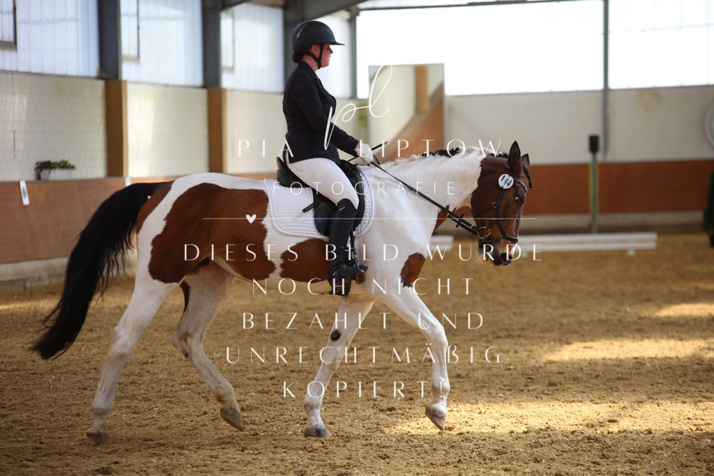 IMGT4631 | pl-fotografie