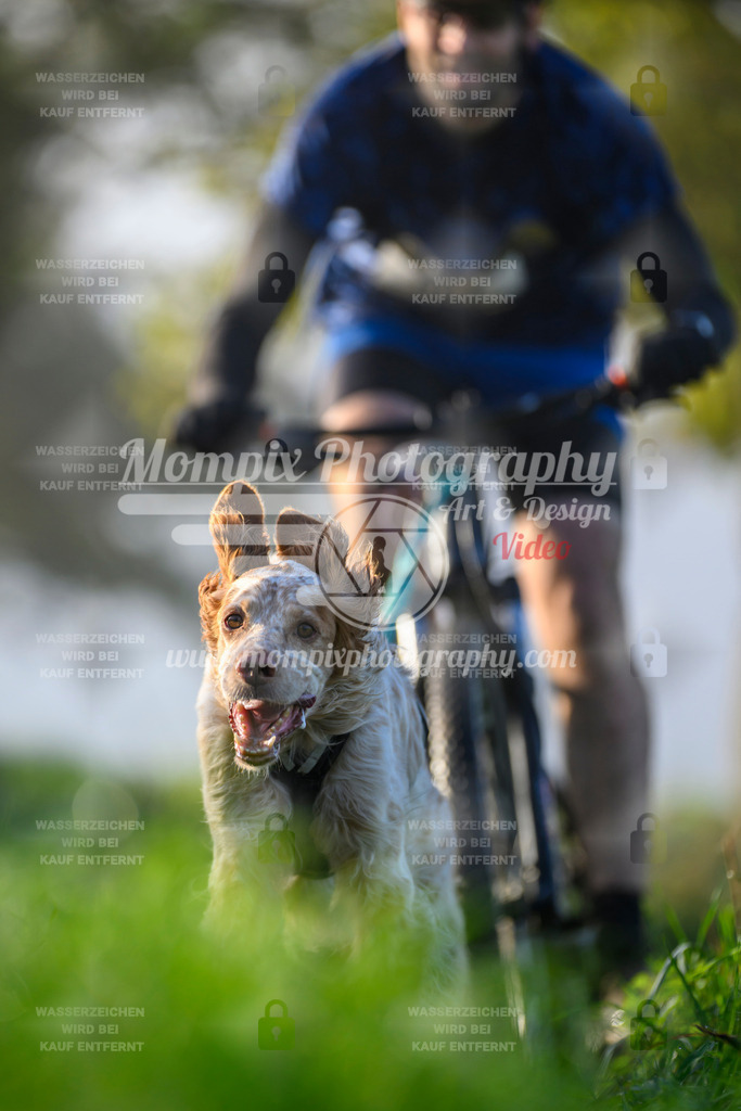 MompixPhotography_20TSB_E3_Bike-164 | PayLife
