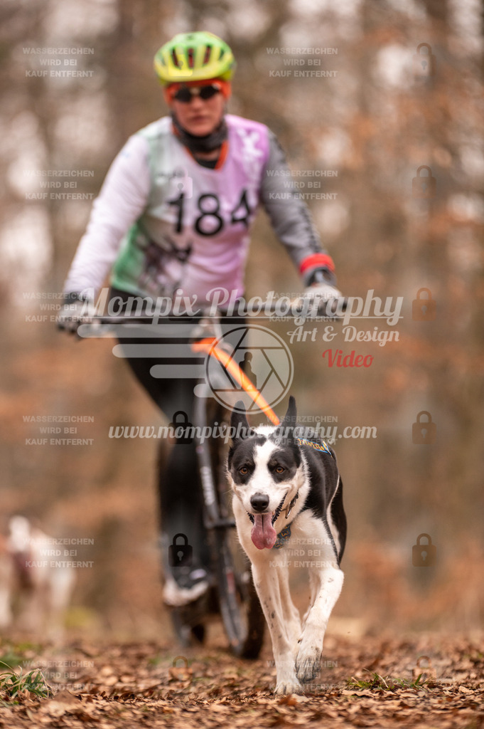 AKM_ST_2023_SAM_Scooter-73 | PayLife