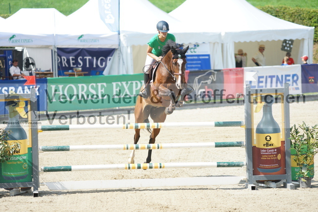 DSC09184 | equestrian-live-com