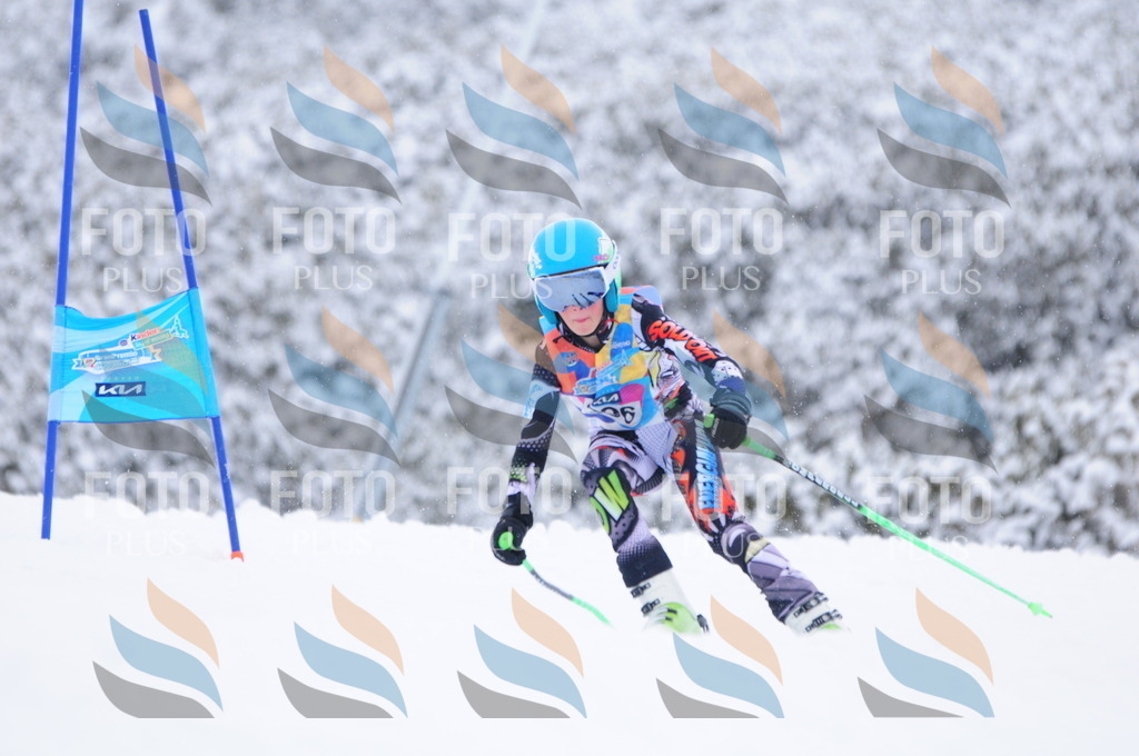 C4194 | holidayphoto