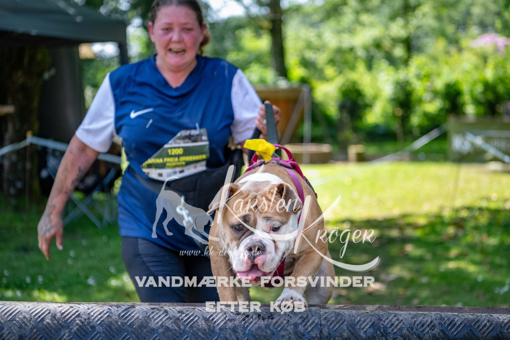 1300_ZZ90425 | kk-dogfotos