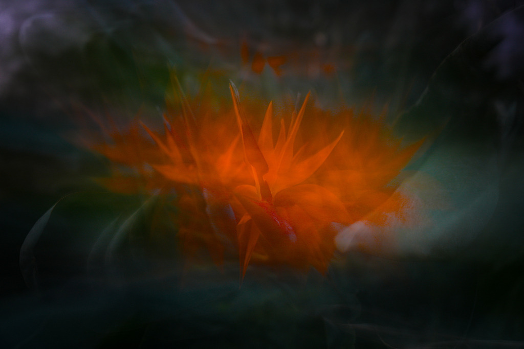 2024_01_27 A7V03237 | bridgeman - Realisiert mit Pictrs.com