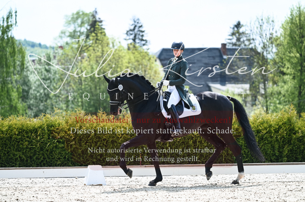 20230514_JK-Röhrsdorf-19-082 | Pferde- und Turnierfotografie in Westsachsen. Pferdeportraits, Auftragszeichnungen und intuitive Kunst.