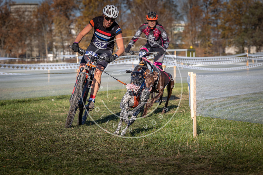 CaniXpix_0L8A4804 | Hundefotografie, Tierfotograf, Pfotenfotografie, Fotoshooting Hund, Hunde Portrait, Hundesport, Hundeportraits, Heideshooting, Hunde, Sportfotograf, Hundefotograf, Turnierhundsport, THS,  - Realisiert mit Pictrs.com