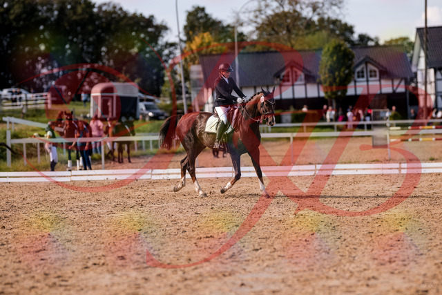 2026_10_03_Siefer-Hof_132513_Z81_74699610 | Professionelle Reitsport-, Turnier- und Eventfotografie von Robert Broda. Galerien mit ausgewählten und bearbeiteten Bildern direkt online ansehen und bestellen.