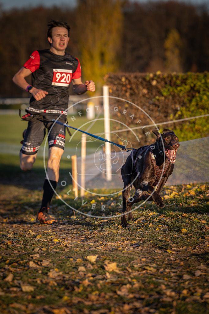CaniXpix_DV3A4924 | Hundefotografie, Tierfotograf, Pfotenfotografie, Fotoshooting Hund, Hunde Portrait, Hundesport, Hundeportraits, Heideshooting, Hunde, Sportfotograf, Hundefotograf, Turnierhundsport, THS,  - Realisiert mit Pictrs.com