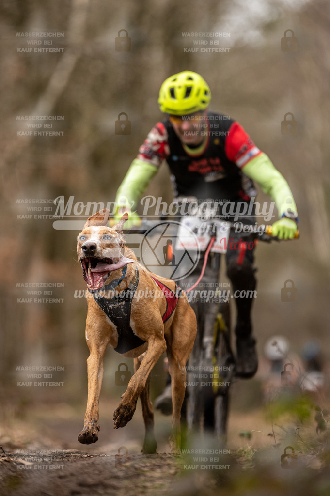 SPA_2023_SAM_Bike-35 | mompixphotography