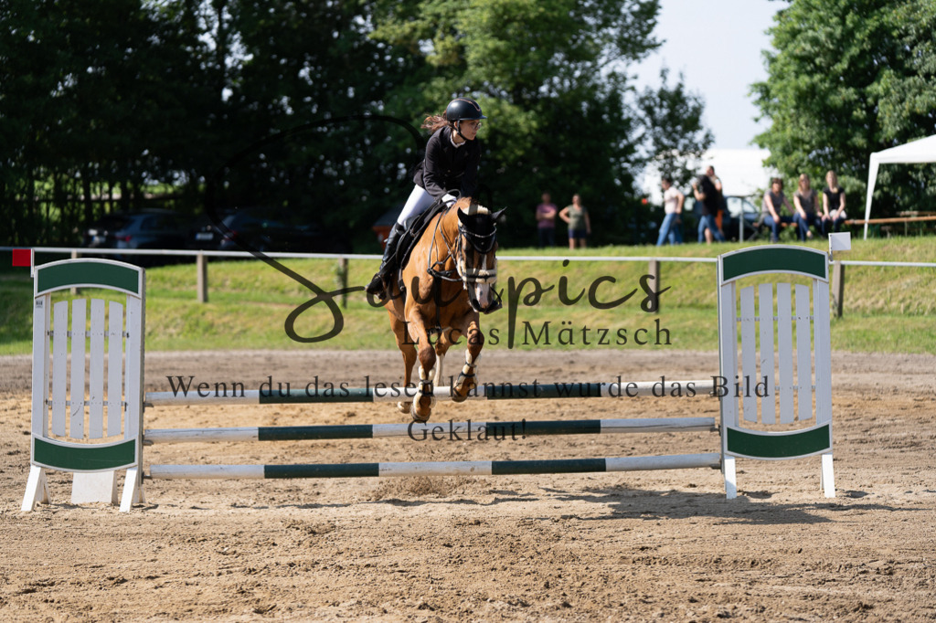 A7507338 | Turnier/Reitfotograf