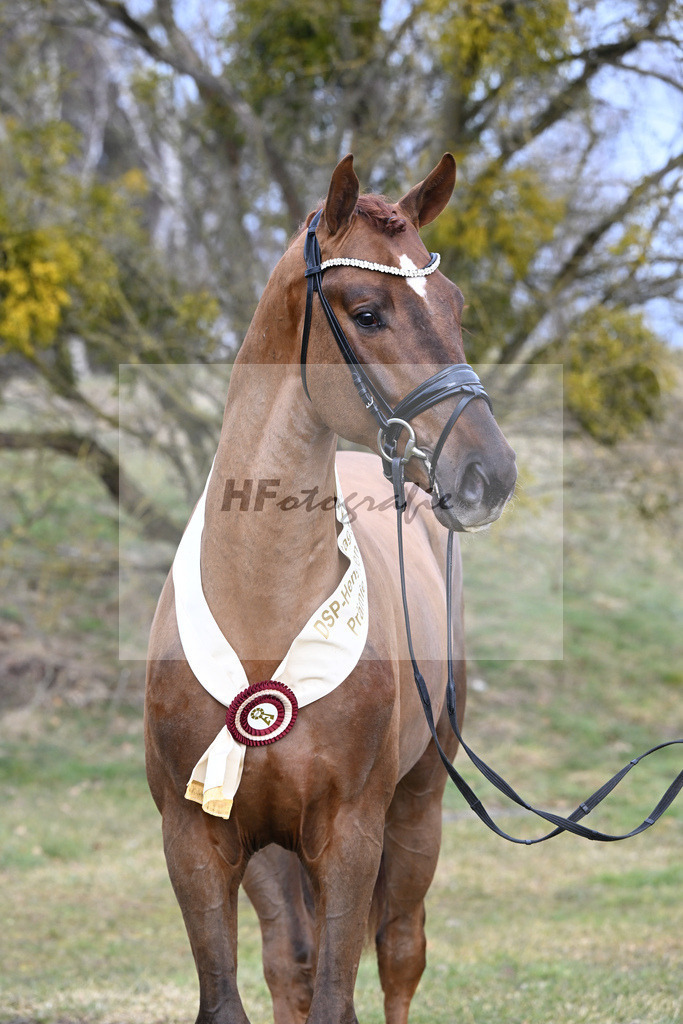 Kat.-Nr. 83 v. Va Bene_Winklmaier_2252291 | hf-fotografie - Realisiert mit Pictrs.com