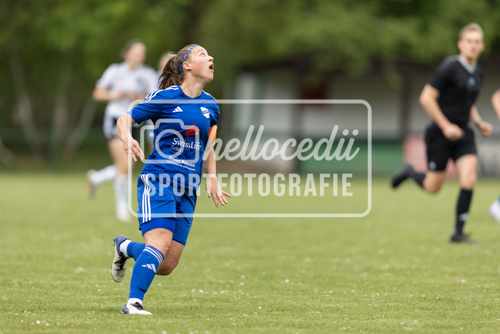 Fußball I Frauen I Saison 2025-2026 I Oberliga Niedersachsen I FC Jesteburg-Bendestorf - BW Hollage I 12675 | realhellocedii - Realisiert mit Pictrs.com