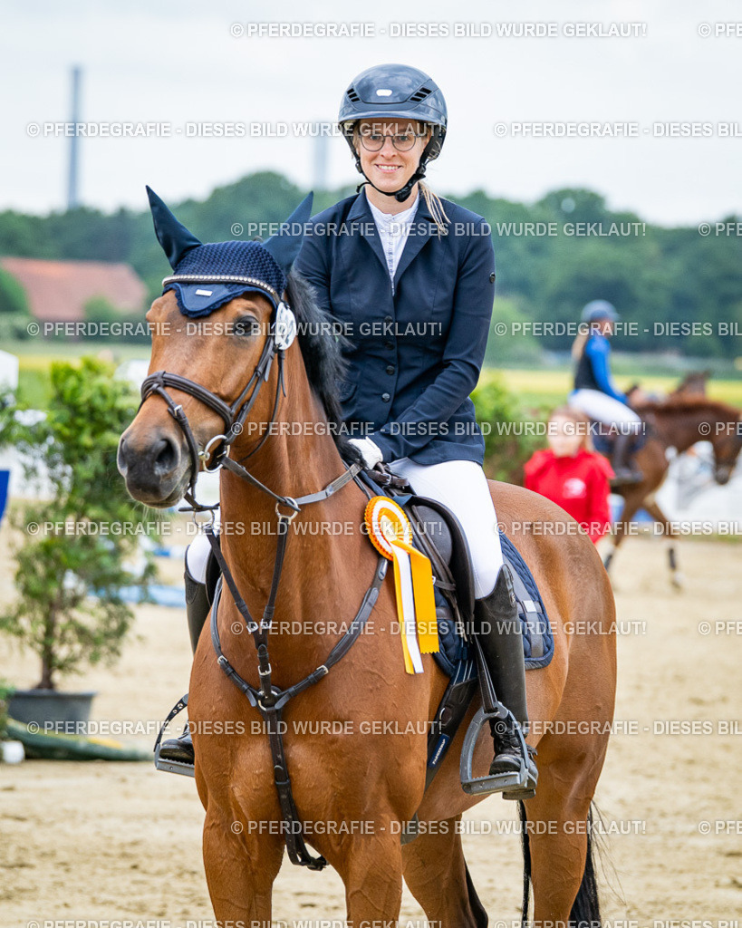 DSC03846 | Pferdegrafie