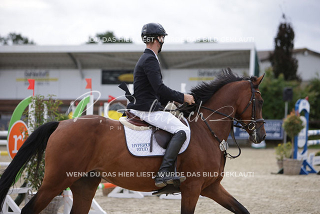 1J2A0171Alexander Liebe_ Nordic Dream HS_ Kn798_ Havekost | Foto- und Videografie für alles rund ums Pferd. Hochwertige Bilder und Videos vom Spring- und Dressurreiten, Voltigieren & mehr. Jetzt aktuelle Veranstaltungen und Preise im Shop ansehen. - Realisiert mit Pictrs.com