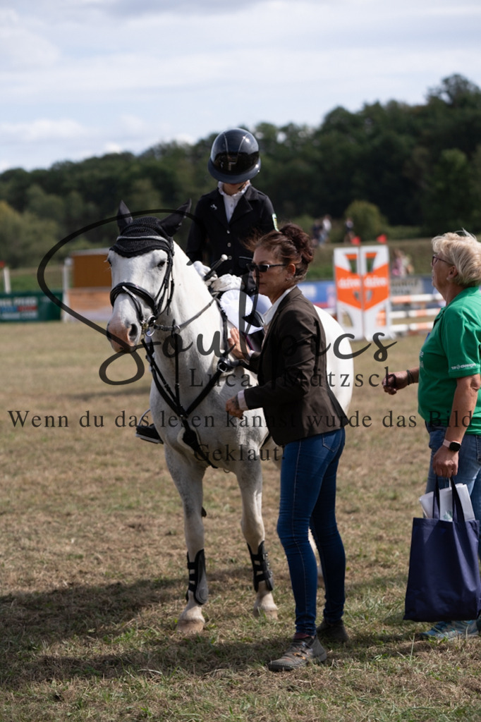 A7V08859 | Pferdefotograf