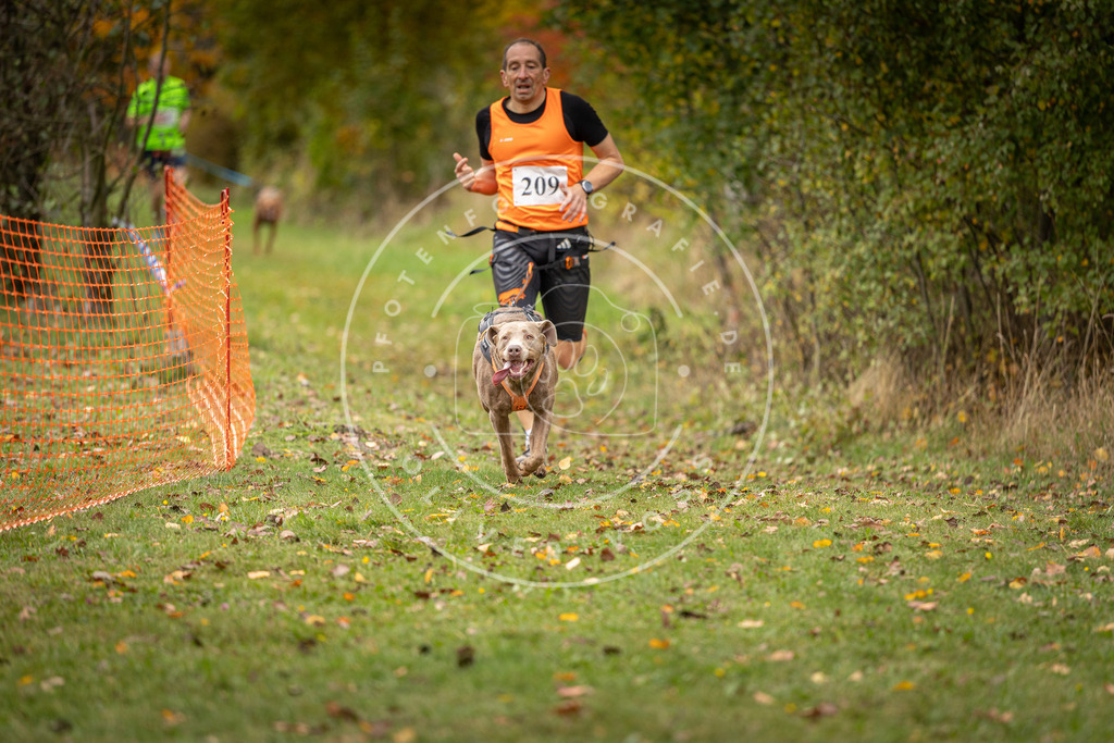Pfotenfotografie_DV3A3983 | Hundefotografie, Tierfotograf, Pfotenfotografie, Fotoshooting Hund, Hunde Portrait, Hundesport, Hundeportraits, Heideshooting, Hunde, Sportfotograf, Hundefotograf, Turnierhundsport, THS,  - Realisiert mit Pictrs.com